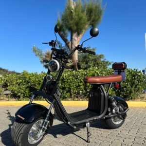 Scooter X11 de 1000w