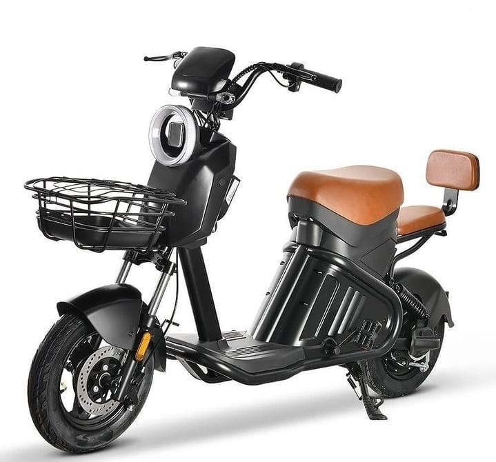 WhatsApp Image 2025-02-06 at 09.15.53 (2)