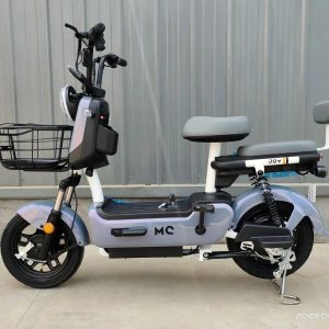 Bike Elétrica 800wts - Bateria Lítio Removível