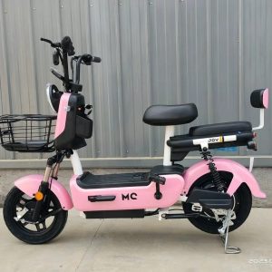 Bike Elétrica 800wts - Bateria Lítio Removível