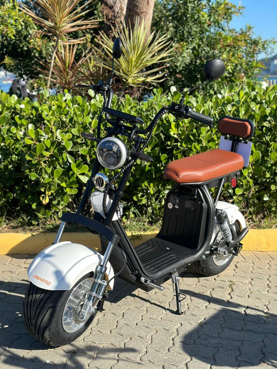 WhatsApp Image 2025-11-17 at 09.09.11