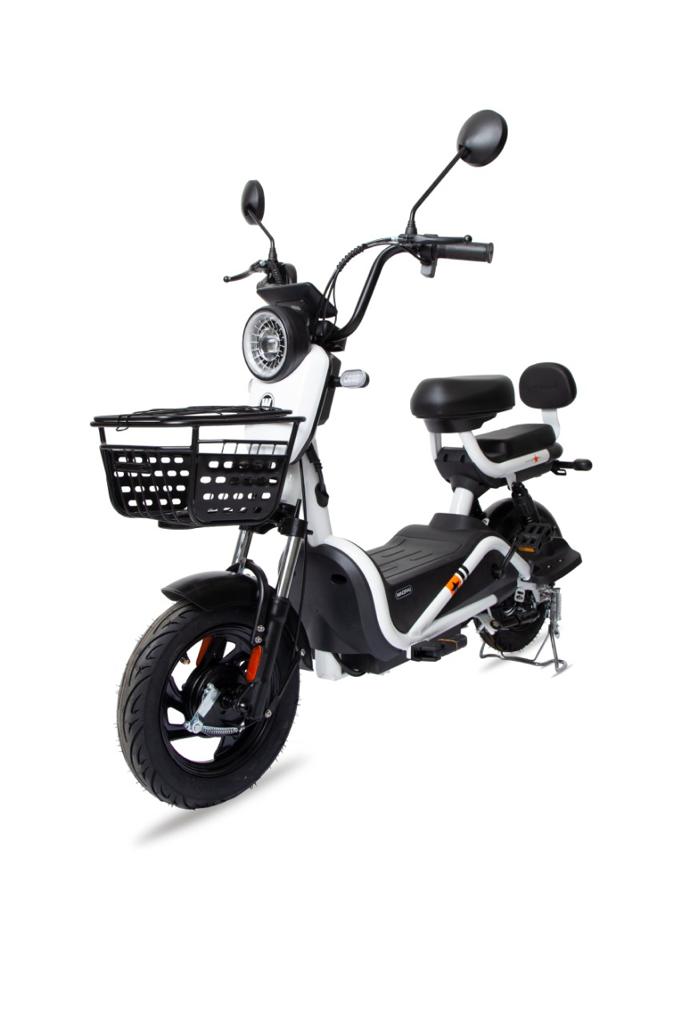 WhatsApp Image 2024-03-13 at 18.06.27 (1)