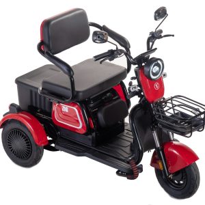 Triciclo Elétrico Zig 800w