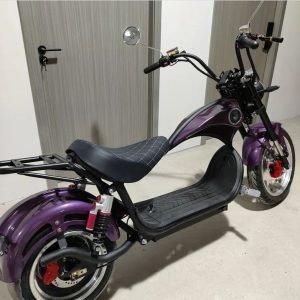 Modelo Chopper
