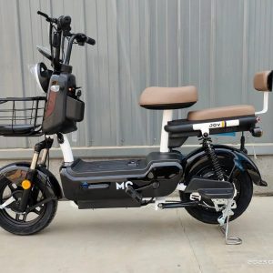 JOY CLASSIC 800wts - Bateria Lítio Removível