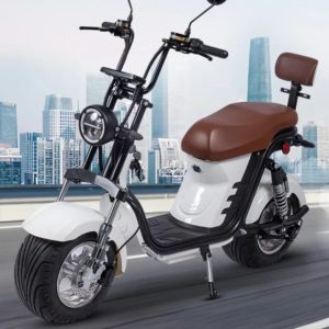 Scooter X12 1000w