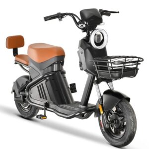 Scooter Eletrica 1000w