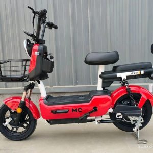 Bike Elétrica 800wts - Bateria Lítio Removível