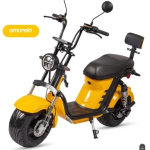 Scooter X12 1000w
