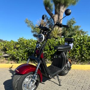 Scooter x11 1000w
