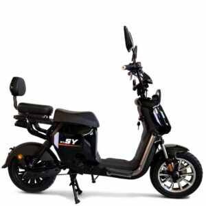 Scooter Máxima N13 1000 W