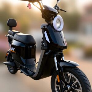 Scooter Máxima N13 1000 W