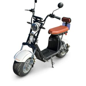 Scooter X11 de 1000w - Branco