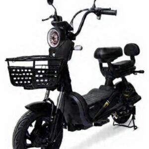 Bike Elétrica 800wts - Bateria Lítio Removível