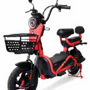 Bike Elétrica 800wts - Bateria Lítio Removível