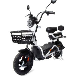 Bike Elétrica 800wts - Bateria Lítio Removível