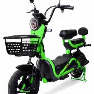 Bike Elétrica 800wts - Bateria Lítio Removível