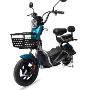 Bike Elétrica 800wts - Bateria Lítio Removível