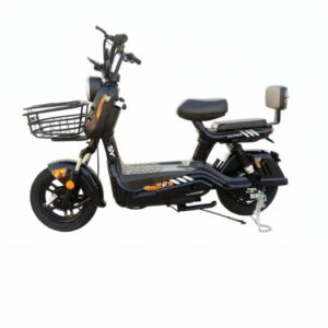 Bike Elétrica 800wts - Bateria Lítio Removível